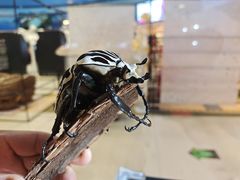-燕莎友谊商城(亮马桥店)