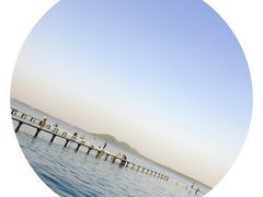 -武汉大学-樱园