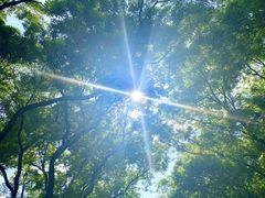 -北京西山国家森林公园