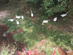 -溪口-滕头旅游景区