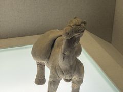 -岳阳市博物馆