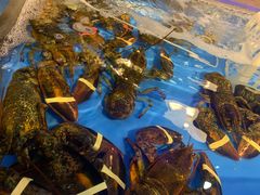 -蒸気海鮮