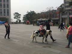 -美林湖温泉别墅度假村