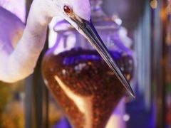 大堂-老板恋上鱼(恒隆广场店)