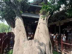 -晋祠博物馆