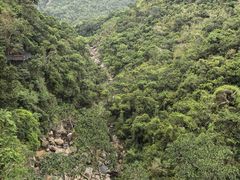 -海南热带雨林国家公园吊罗山景区