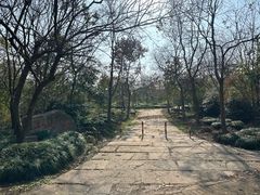 -上海海湾国家森林公园