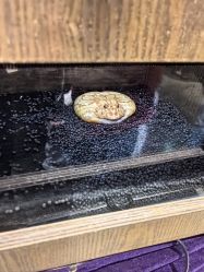 -Zoolung Zoolung动物主题公园(海信广场店)