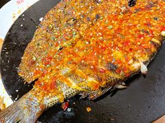 -福苗小骆驼烧烤(莲湖路店)