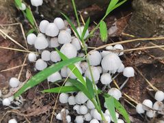 -白鹭湾湿地公园