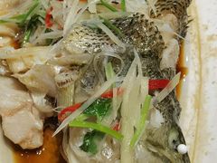 -浦江餐饮•上海菜馆(五四路店)
