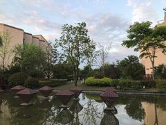 -上海崇明金茂凯悦酒店