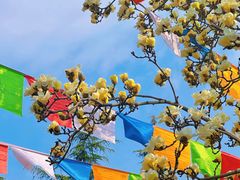 -西安市广仁寺
