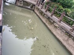 -鸣鹤古镇