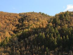 -塞罕坝国家级自然保护区