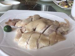 -新兴·金羊座·粤菜点心(乐峰店)