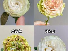 -亭亭鲜花店(中山北路店)