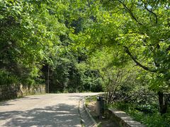 -西安祥峪森林公园