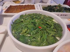 -大熊猫毛肚火锅(烟台万象汇店)