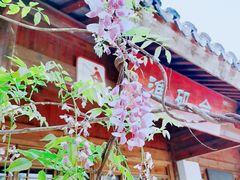 -苏州太湖国家湿地公园