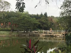 -云溪植物园