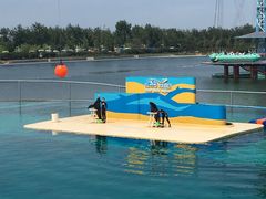 -秦皇岛乐岛海洋王国