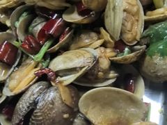 -老黑板筋(顺义总店)