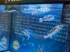-肆月河豚·淮扬菜·湘菜(华天店)