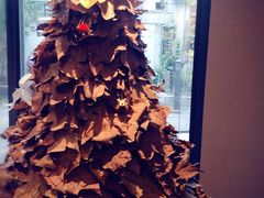 -Punchline Coffee&Roaster(同济大学店)