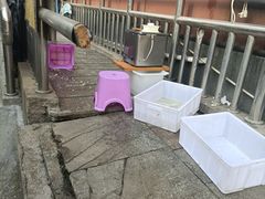 -小金鬼·煎饺·鸽子汤