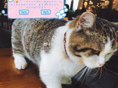 -IFIF 如果花園(宽厚里店)