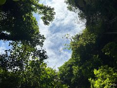 -中岜朗天坑(CV GEO INDO RAYA)