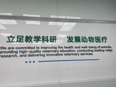 -中国农业大学动物医院