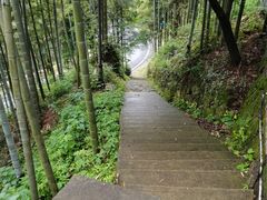 -莫干山风景区