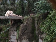 -乐和乐都主题乐园