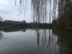-华东政法大学(松江校区)