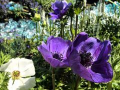 -东方体育中心(地铁站)