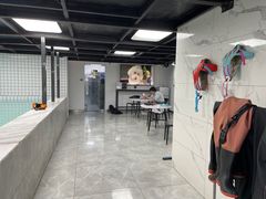 -柚子宠物(伊珊娜调理店)