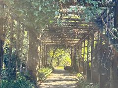 -中国科学院西双版纳热带植物园