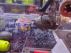 -汤姆熊欢乐世界(大连恒隆广场店)