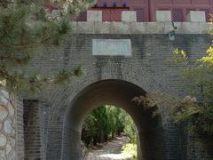 -云岗森林公园