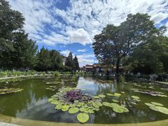 -莲花池公园