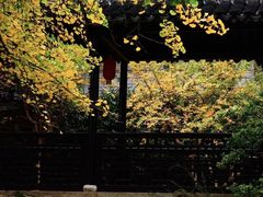 -惠山古镇·寄畅园