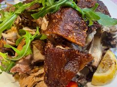 -百好乐宠物友好餐厅(朝外大街店)