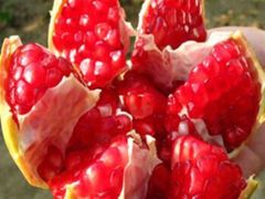 红软子石榴-百果园(东莞新世纪明上居2店)