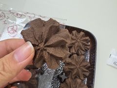 -珍妮曲奇聪明小熊(尖沙咀店)