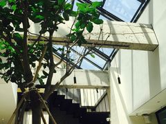 -大树餐厅(红旗街万达店)