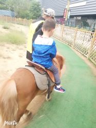 -萌宠亲子动物乐园(槐房万达店)