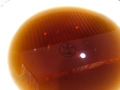 -西塔大冷面(市府大路店)