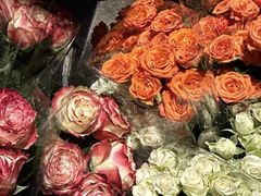 -循礼门鲜花花市(武汉循礼门店)